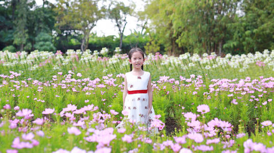 公园 幸福 白种人 自由 自然 情绪 女孩 开花 漂亮的