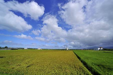 兰阳兰阳平原风景照照片