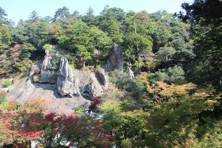 旅行 自然 日本 森林 情景 风景 悬崖 彩色图像
