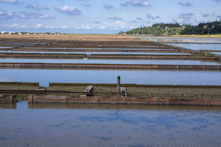 萨利米耶塞科夫利耶盐场斯洛文尼亚最大的盐蒸发池,位于亚得拉蒂海