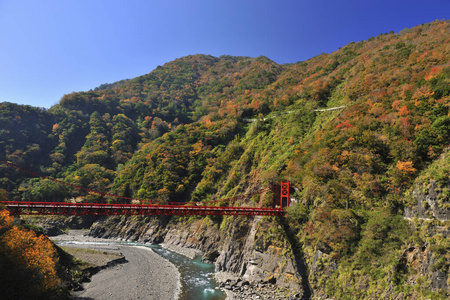 桃园区山谷河风景照图片