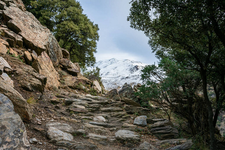 风景 高的 高峰 小山 旅游业 美丽的 徒步旅行 旅行 天空