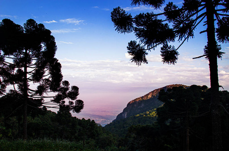 美丽的风景，树和山的轮廓