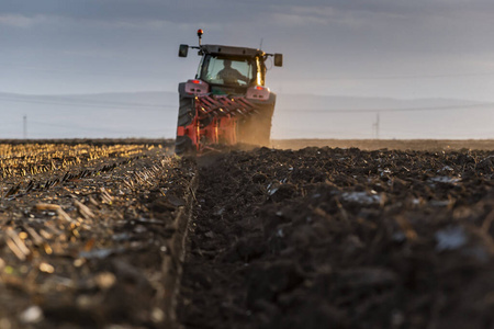 Preparing land for sowing 