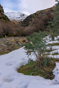 高峰 冬天 格拉纳达 徒步旅行 小山 旅行 自然 风景 美丽的