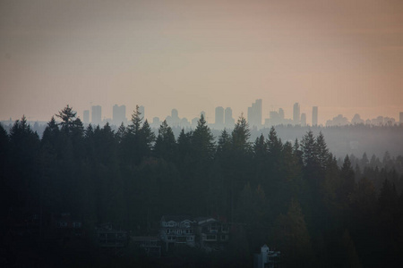 太阳 森林 建筑 城市 傍晚 夏天 薄雾 朦胧 自然 风景