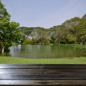 自然公园池塘景观背景