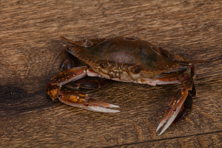 活着的螃蟹图片