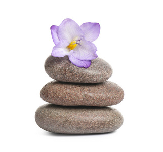 按摩 石头 岩石 皮肤 热的 卵石 幸福 堆栈 沙龙 健康