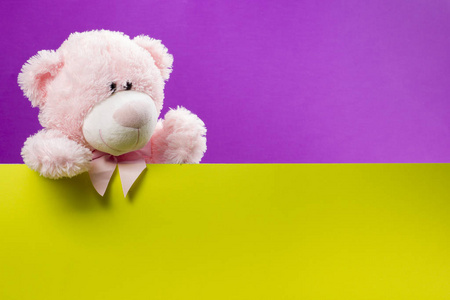 可爱的粉色泰迪熊彩色背景和复印空间