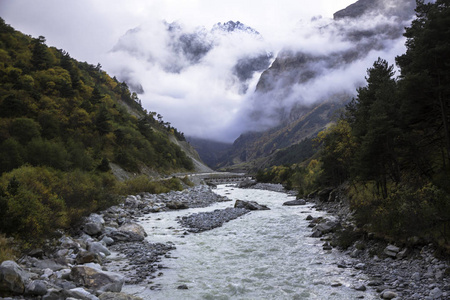 旅行 岩石 全景图 环境 高加索 旅游业 储备 峡谷 风景