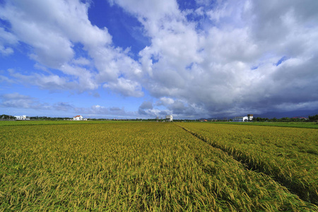 兰阳兰阳平原风景照照片