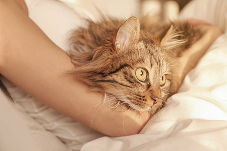 女人和她可爱的猫在床上，特写。毛绒宠物