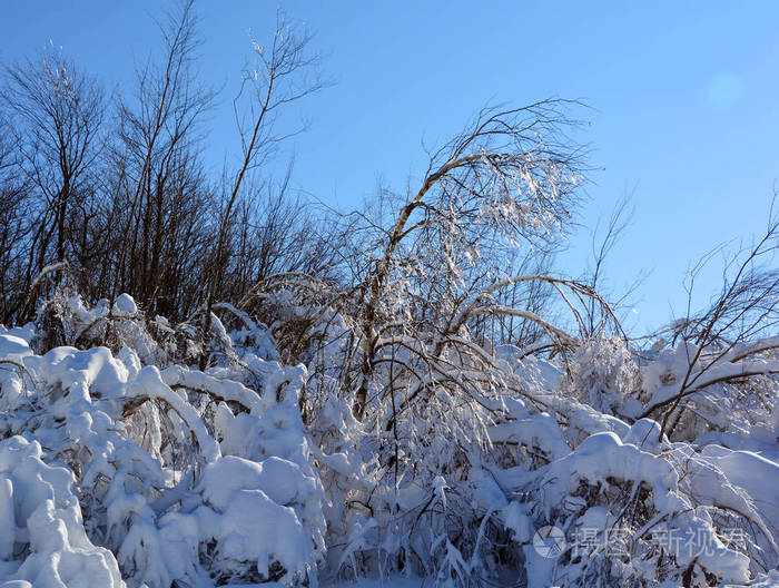 斜坡 冬天 季节 太阳 自然 滑雪 滑雪板 寒冷的 美丽的