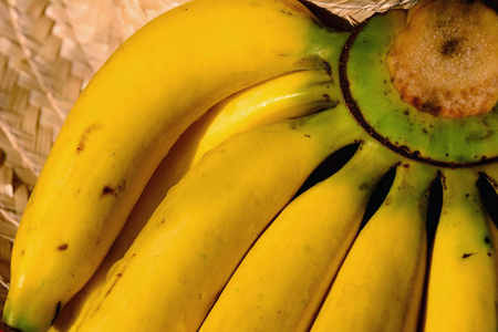 特写卡文迪什香蕉果,黄颜色很新鲜.照片