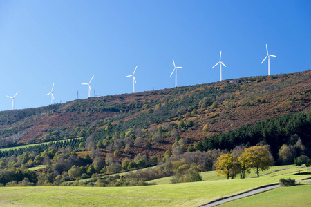 Grassy meadows and wind turbines 