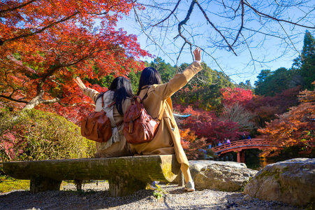 圣地 秋天 艺妓 文化 森林 宝塔 美丽的 日本 树叶 花园