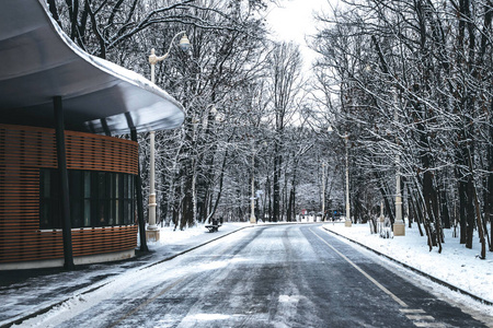 莫斯科的冬季公园，有雪树。冬季景观。