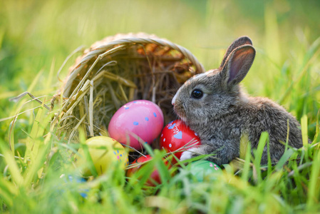 复活节兔子篮子与棕色兔子和复活节彩蛋彩色o