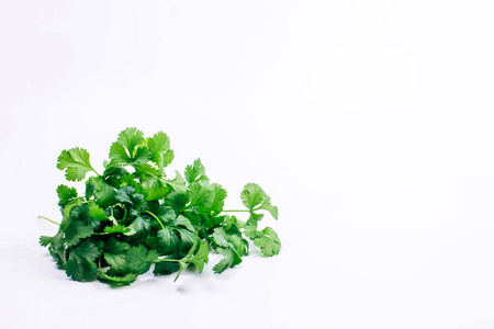 植物 植物区系 维生素 食物 烹调 芳香 花园 自然 草药