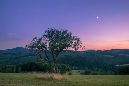 欧洲 早晨 天空 季节 环境 草地 乡村 春天 自然 阳光