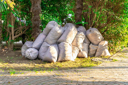 一群装满垃圾的垃圾袋躺在公园的一棵树下,志愿者们正在打扫卫生.