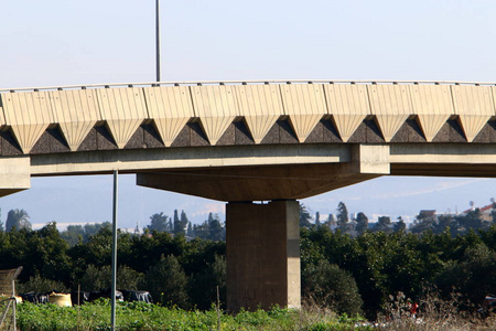 支持 早晨 旅游业 建筑学 自然 以色列 冬天 森林 高架桥