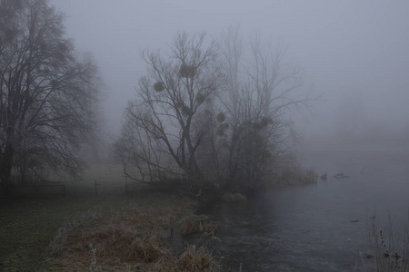 雾蒙蒙的早晨。灰色神秘景观