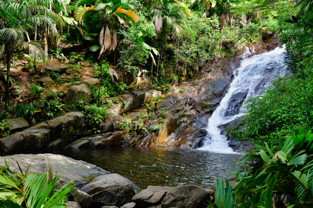 塞舌尔 森林 花岗岩 公园 瀑布 环境 旅行 风景 自然