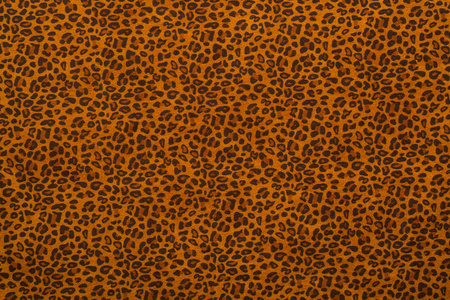 豹纹毛皮背景纹理图片