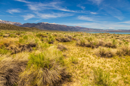 莫诺湖周围地区,岩层和植被,加利福尼亚,美国.照片