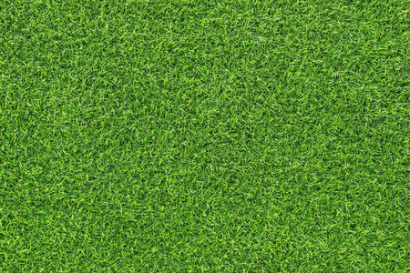 绿色的草坪纹理背景图片
