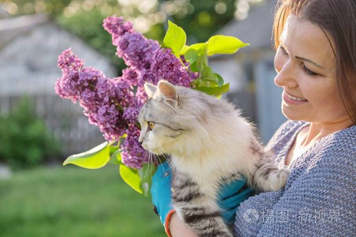 一个成熟的女人抱着灰色蓬松的猫宠物