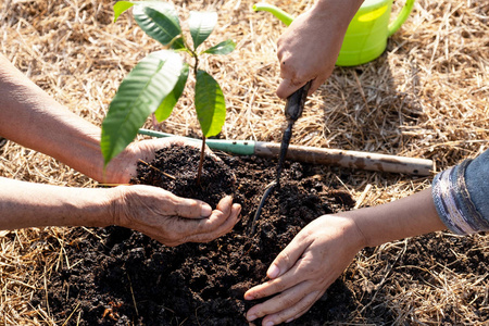 植树造林,世界环境日,把环保理念传递给下一代照片