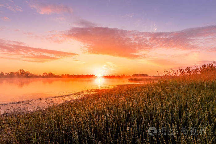 春天或初夏清晨池塘或湖面上日出或黎明的美景,天空多云,水面上有雾