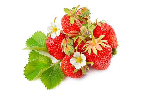 白色背景上孤立的草莓。