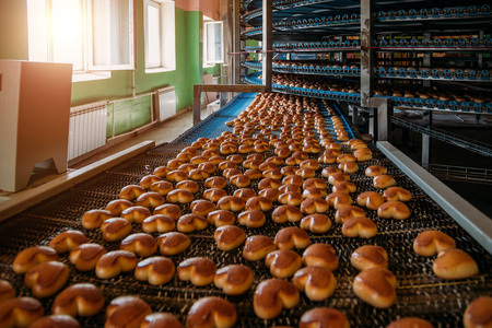 自动化饼干蛋糕烘焙生产线照片