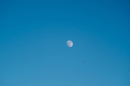 夏天 高的 航班 行星 轮廓 风景 野生动物 满的 天空