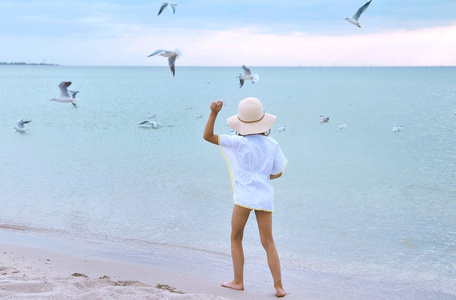 自由 假日 假期 海滩 自然 夏天 美丽的 天空 海洋 海鸥