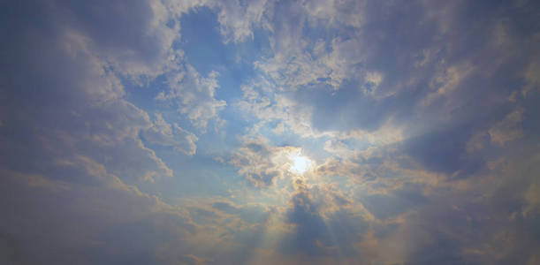 毛茸茸的 天堂 空气 日落 阳光 自然 场景 自由 天空