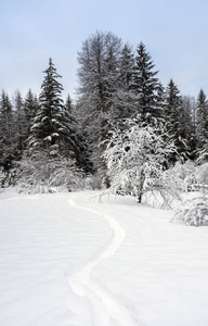 雪鞋小径穿越冬季场景