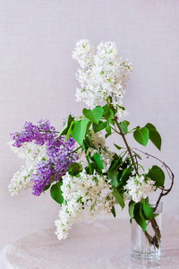 白色和淡紫色丁香，一束盛开的丁香树枝，室内装饰，花束，花艺