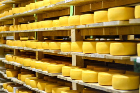 杂货店 产品 货架 牛奶 营养 乳制品 工厂 市场 奶酪