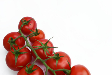 美味的新鲜西红柿的分支，孤立在白色的背景上。闭合