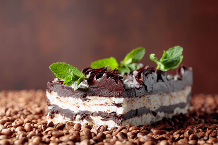 Delicious chocolate cake with mint. 