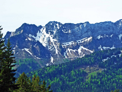 旅游业 美丽的 自然 岩石 高的 瑞士人 阿尔卑斯山 山谷