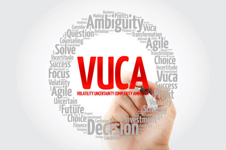 VUCA缩略语单词cloud，业务概念