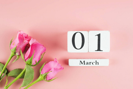 Pink Rose flower and 1st March calendar on pink background with 