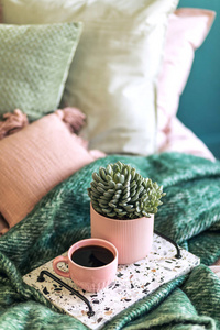 沙发 椅子 房间 木材 地板 公寓 植物 粉红色 房子 奢侈