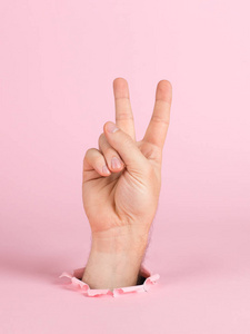 男性的手伸出一个粉红色背景的纸洞。两个手指头，和平，复制空间。